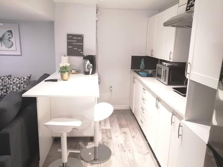 Апартаменти Cozy Nest Basement Unit Гамільтон Екстер'єр фото