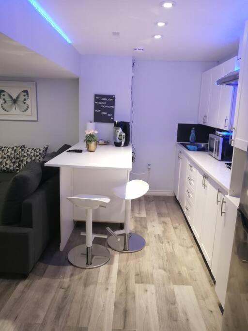 Апартаменти Cozy Nest Basement Unit Гамільтон Екстер'єр фото