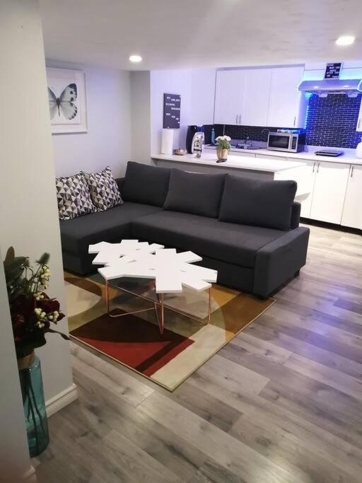 Апартаменти Cozy Nest Basement Unit Гамільтон Екстер'єр фото