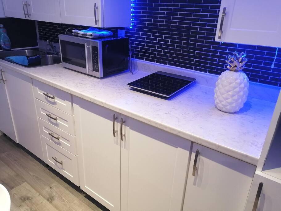 Апартаменти Cozy Nest Basement Unit Гамільтон Екстер'єр фото